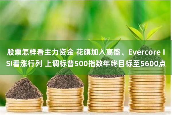 股票怎样看主力资金 花旗加入高盛、Evercore ISI看涨行列 上调标普500指数年终目标至5600点