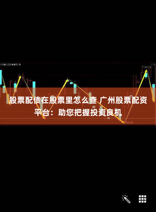 股票配债在股票里怎么查 广州股票配资平台：助您把握投资良机