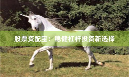 股票资配宝：稳健杠杆投资新选择
